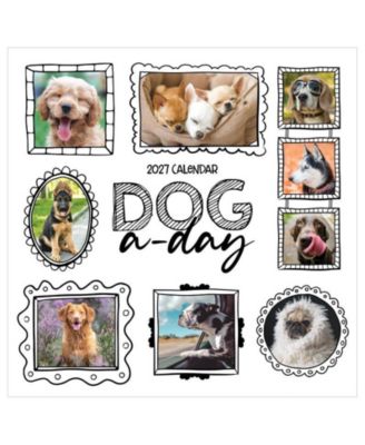 2027 Dog-A-Day Wall Calendar
