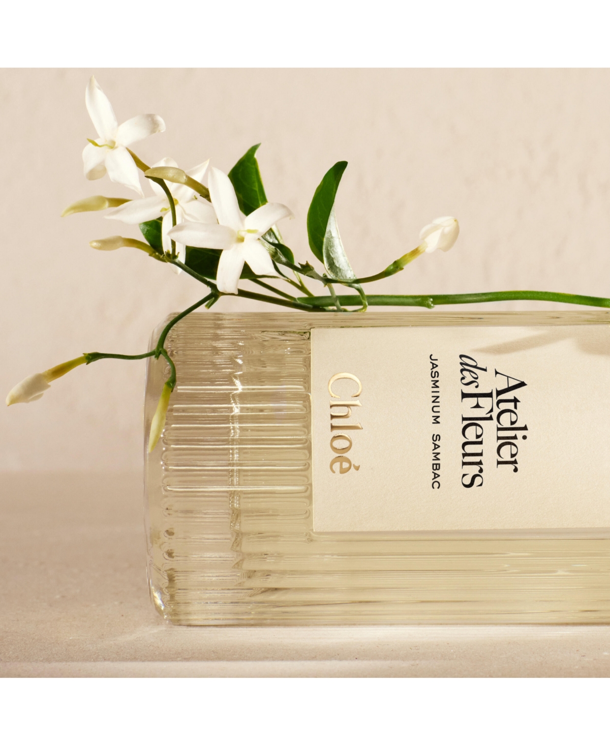 Chloe Atelier des Fleurs Jasminum Sambac Eau de Parfum Spray