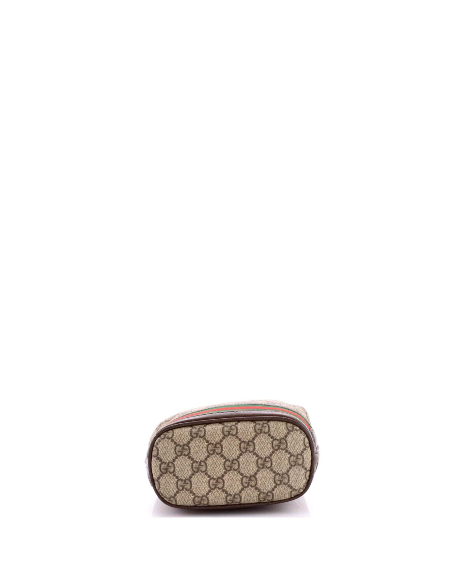 Mini Ophidia Bucket Bag GG Coated Canvas