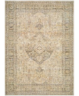 x Surya Renaissance 541918 6'5" x 8'10" Area Rug