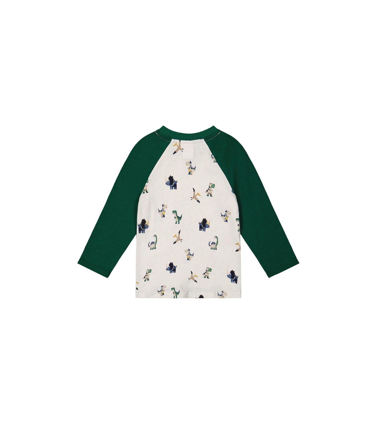 Baby Boys (12M-24M) Long Sleeve Raglan T-Shirt Dinosaur Print