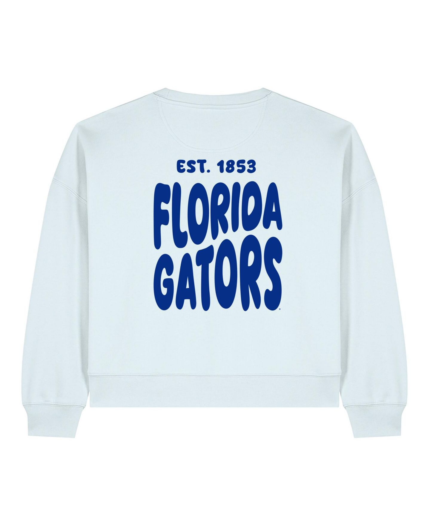 Женская толстовка Uscape Apparel Light Blue Florida Gators Cloud — фото 3
