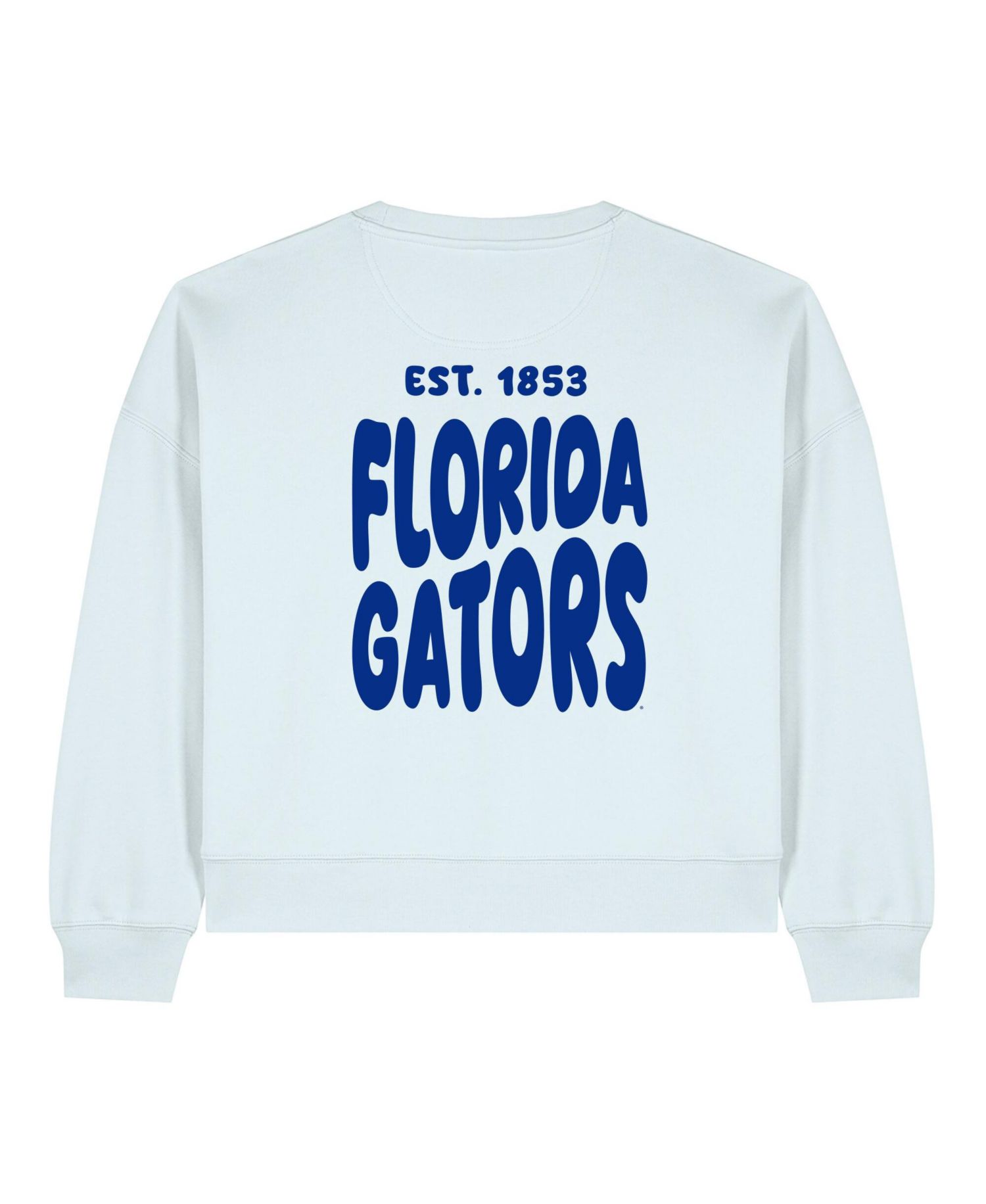 Women's Light Blue Florida Gators Cloud Sweatshirt