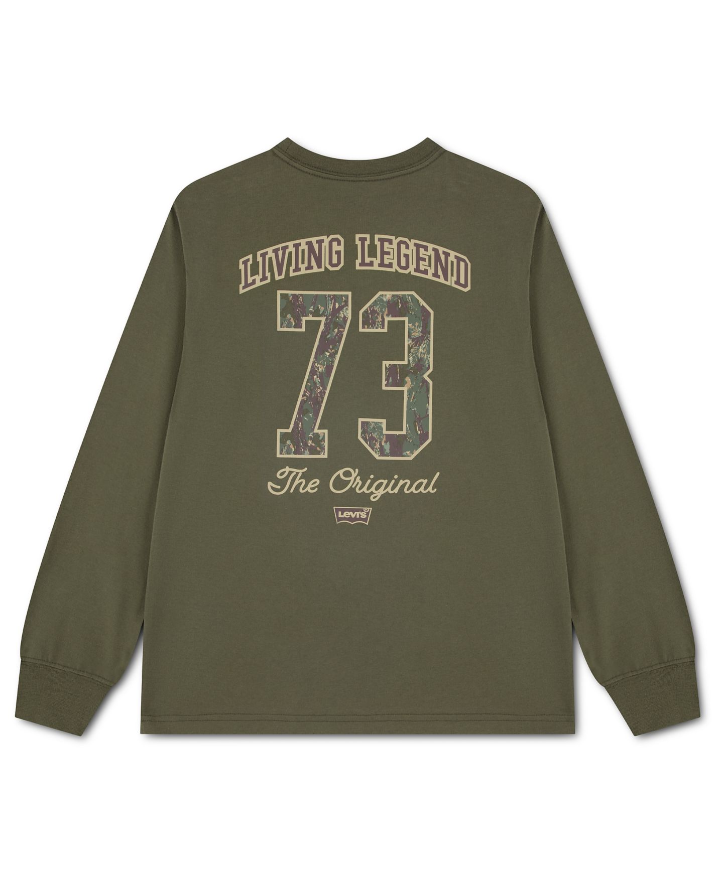 Футболка Levi's In the Woods Long-Sleeve для мальчиков, цвет: Оливковый ночной — фото 6