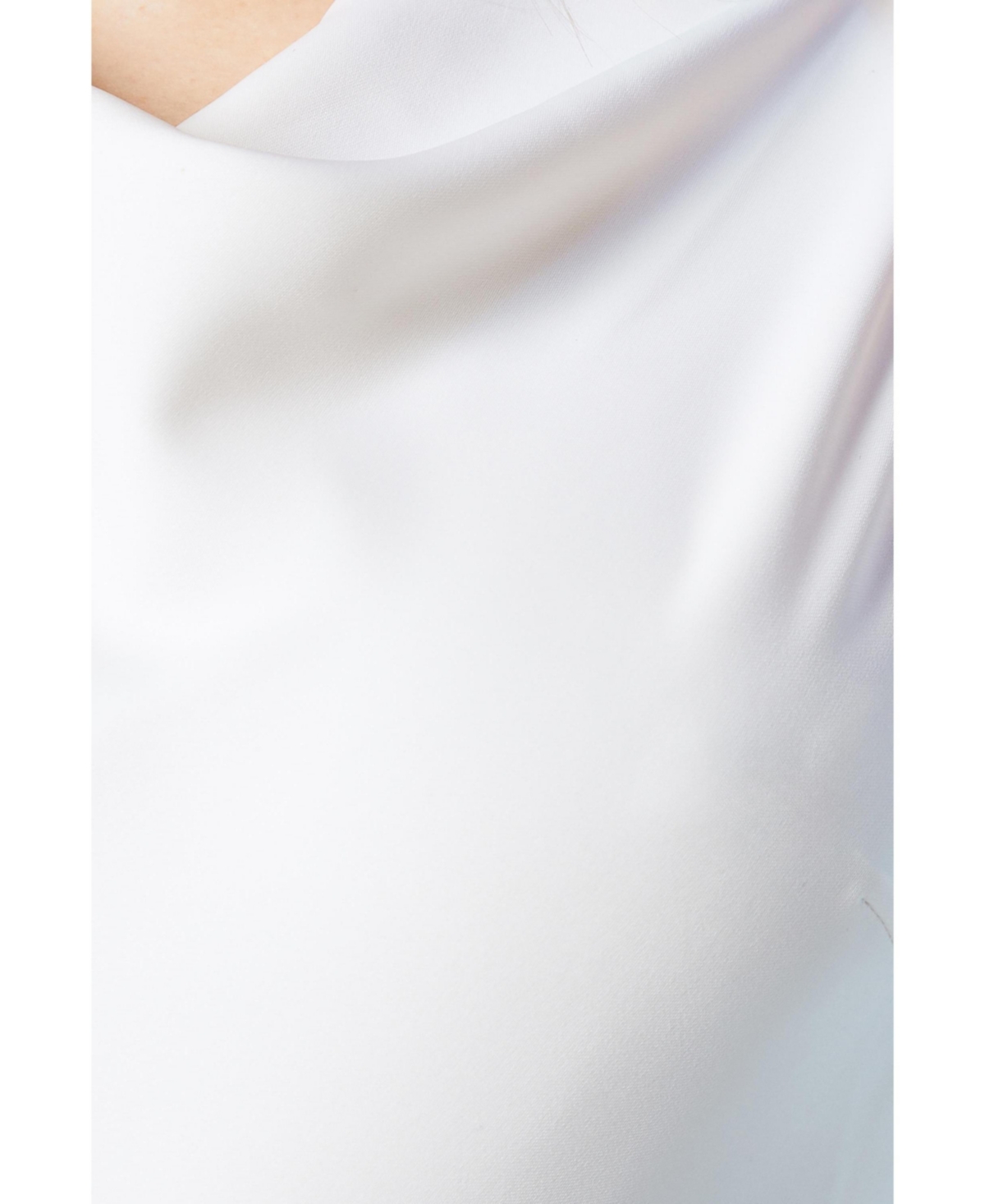 Coast Women's Chiffon Cowl Neck Maxi Dress