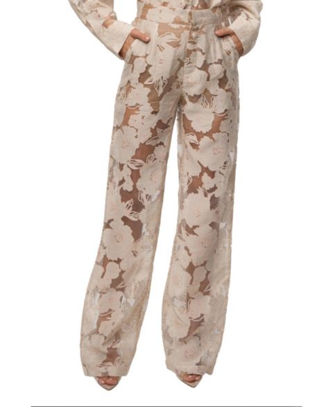 Женские брюки JLUXLABEL Organza Floral Pant, цвет: Бежевый