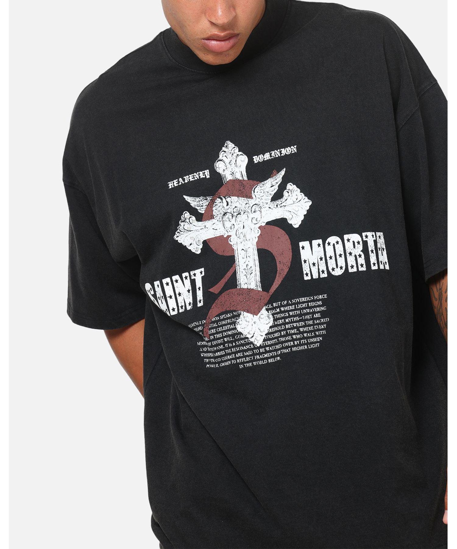 Men's Heavenly Dominion T-Shirt