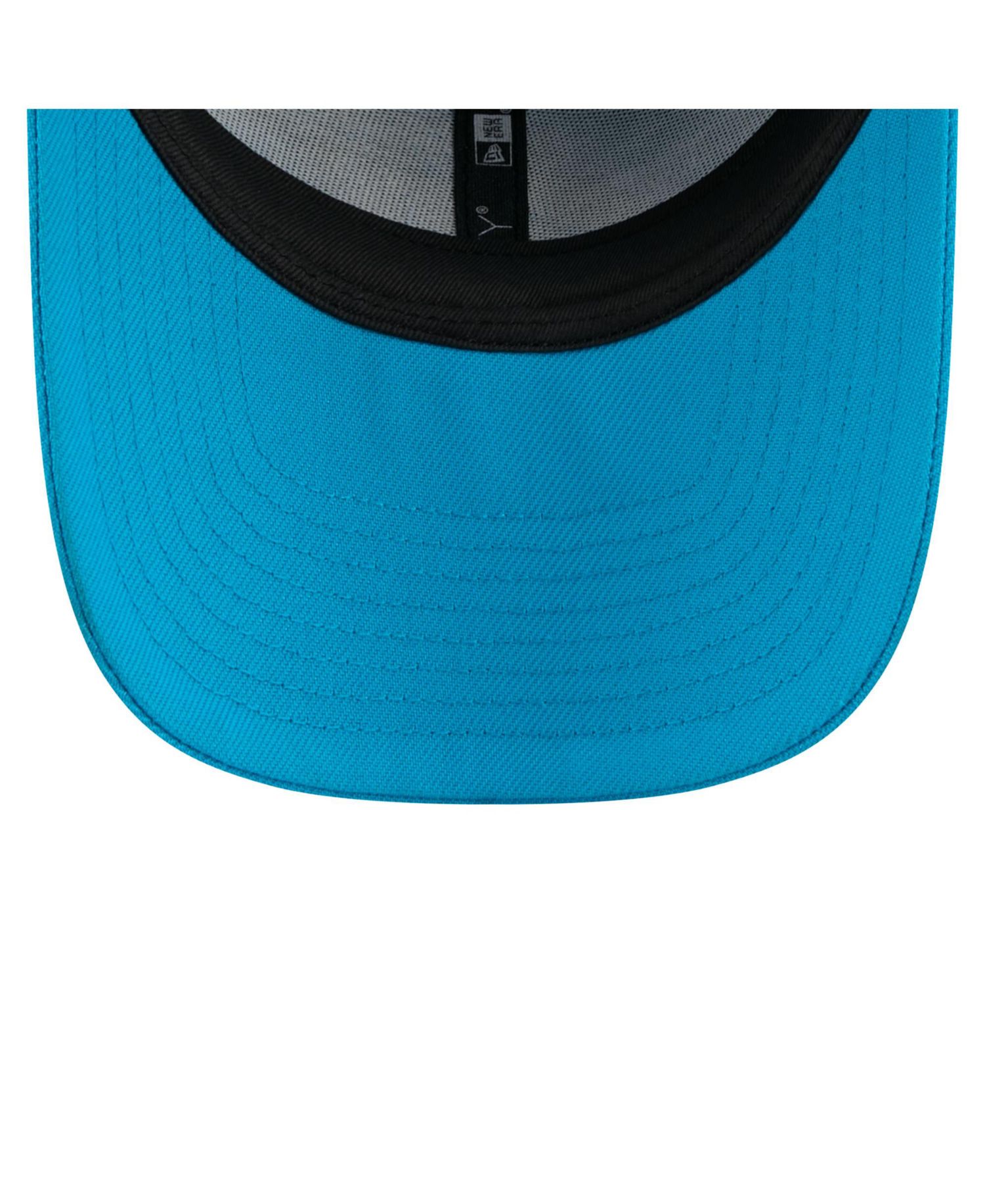 Men's Blue Carolina Panthers Core Team 9FORTY Adjustable Hat