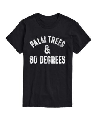 Men's Instant Message Palm Trees And 80 Degrees Graphic T-Shirt