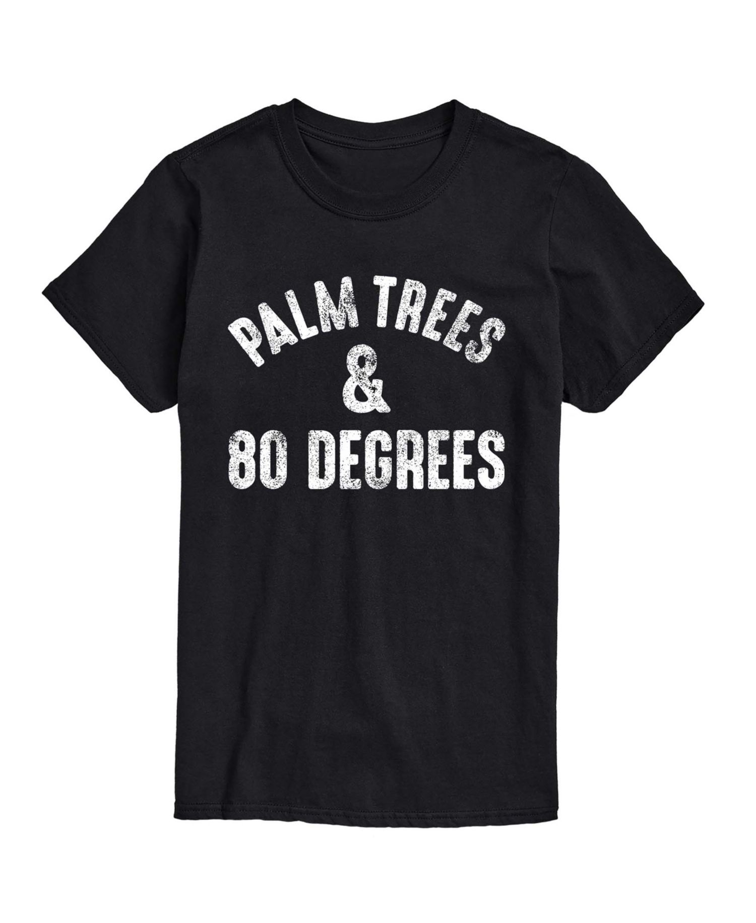Men's Instant Message Palm Trees And 80 Degrees Graphic T-Shirt
