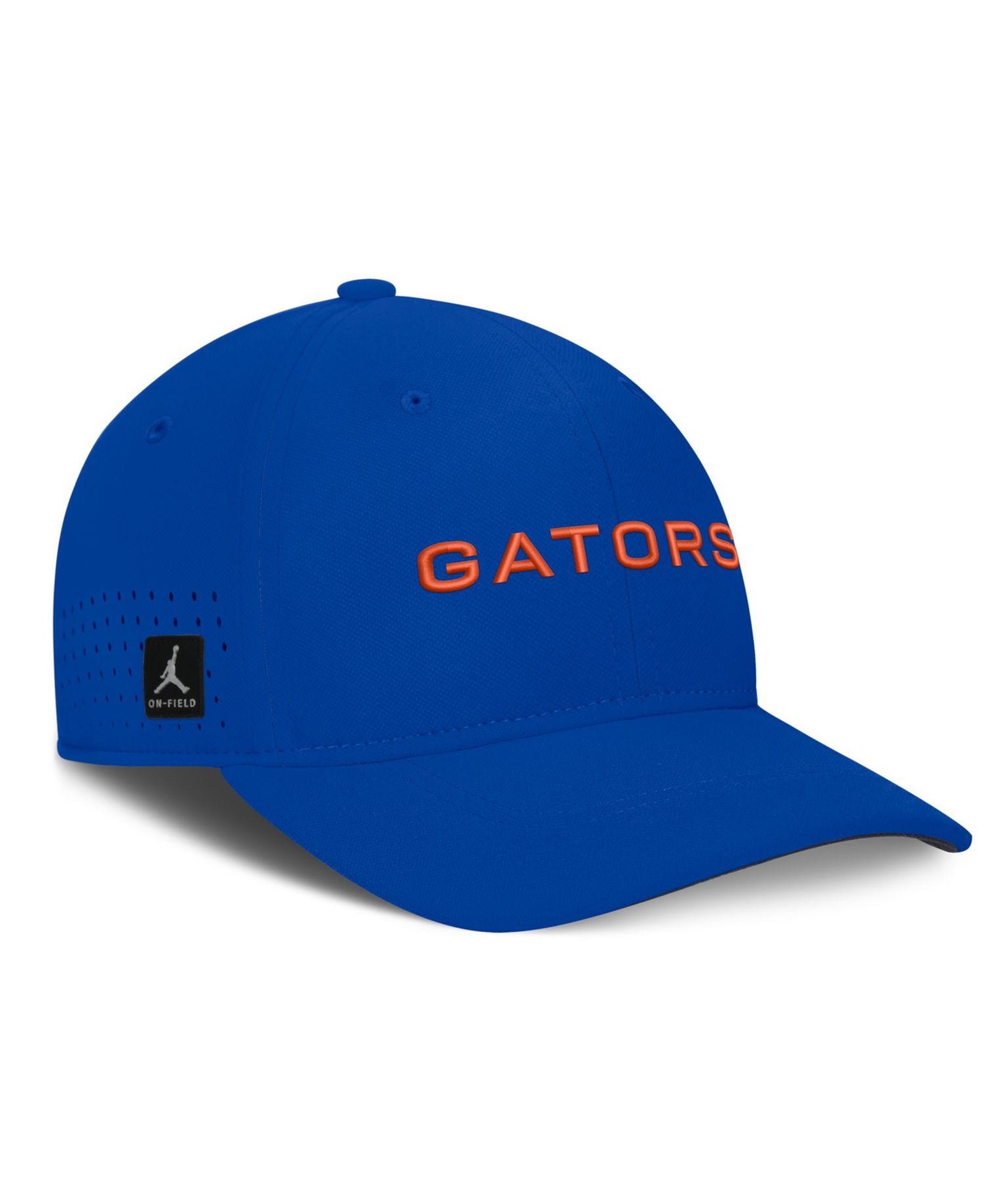 Men's Royal Florida Gators Gameday Aerobill Swooshflex Dri-FIT Hat