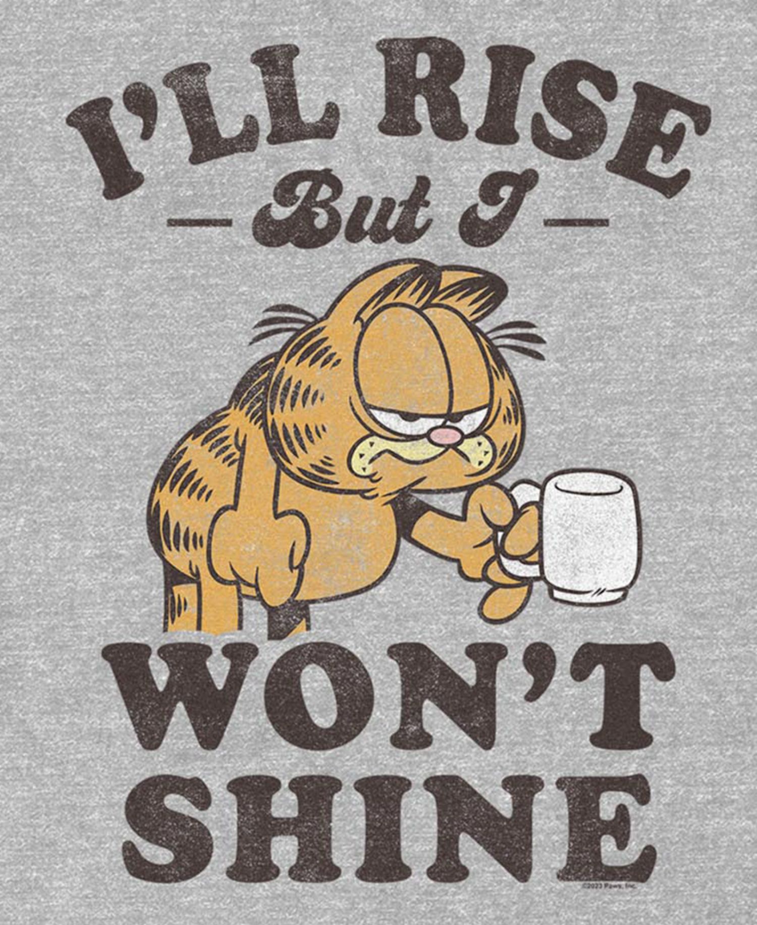 Men's Garfield Wont Shine T-Shirt