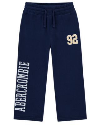 Toddler Boys' 2T-5T Benchwarmer Fleece Pants