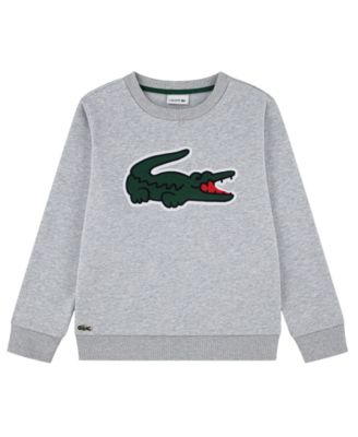 Boys' 10-16 Long-Sleeve Bold Crocodile Sweatshirt