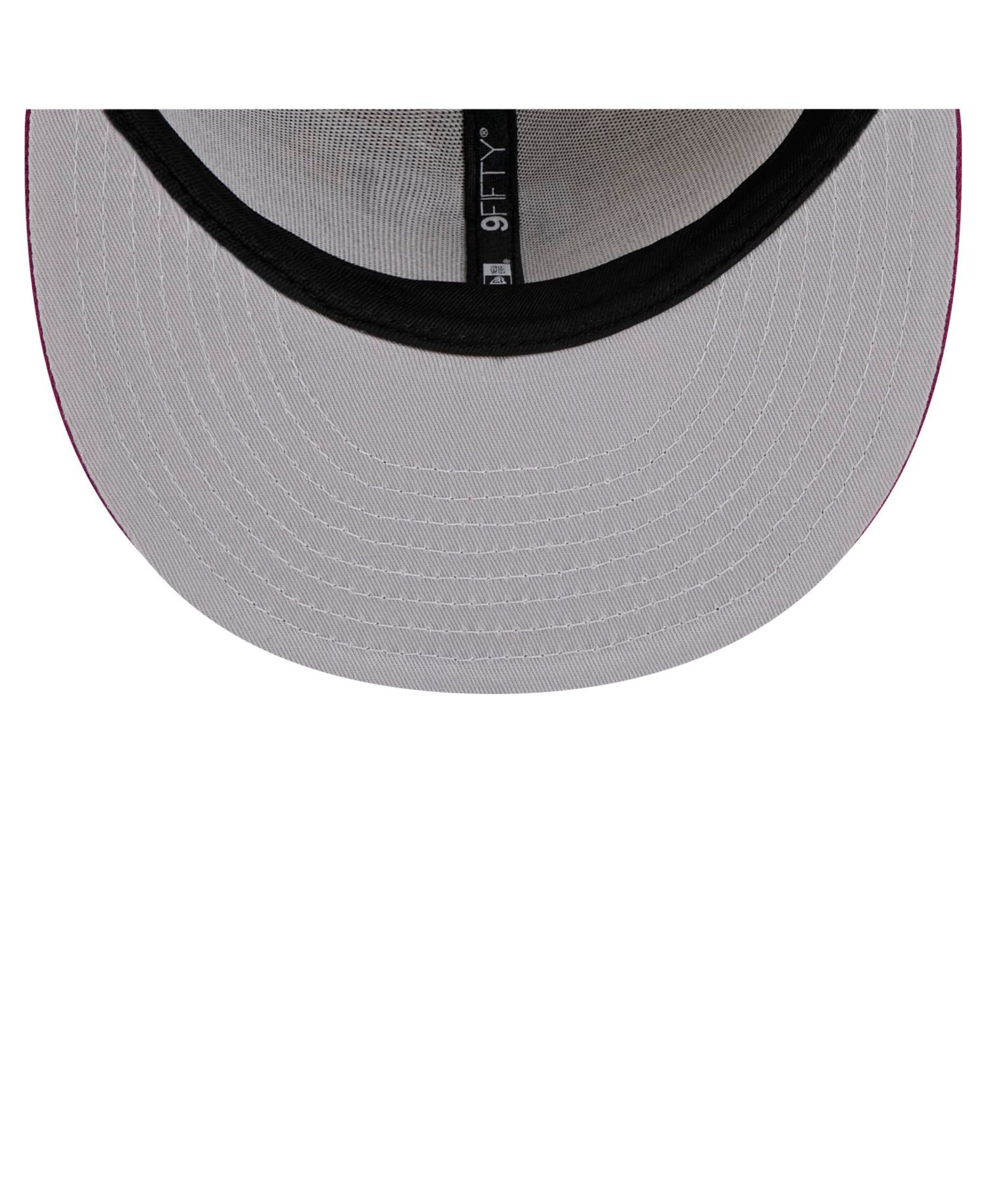 Men's Brown/Purple Tampa Bay Rays Color Pack Two-Tone 9FIFTY Snapback Hat