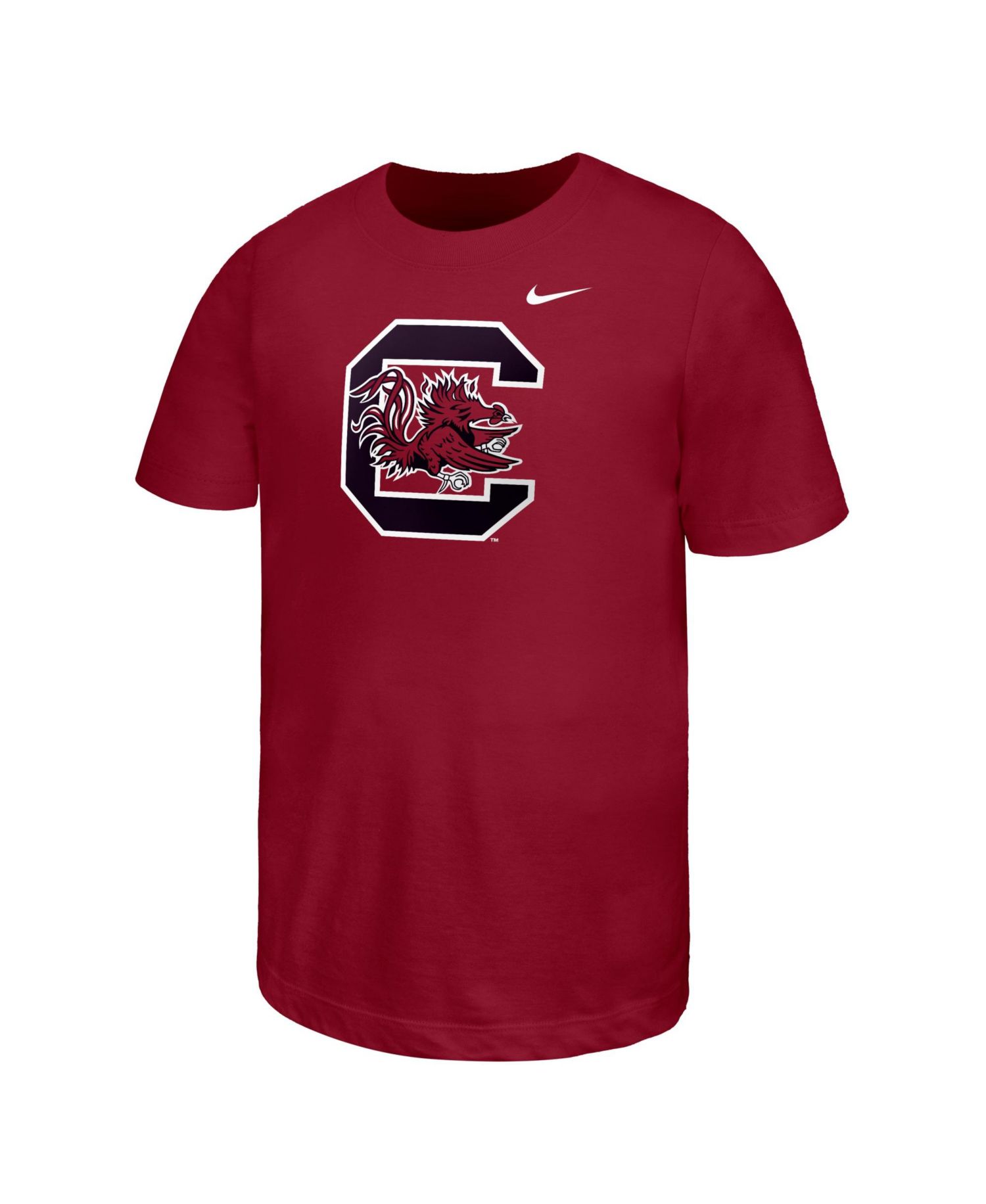 Big Boys and Girls Garnet South Carolina Gamecocks Primary Logo T-Shirt