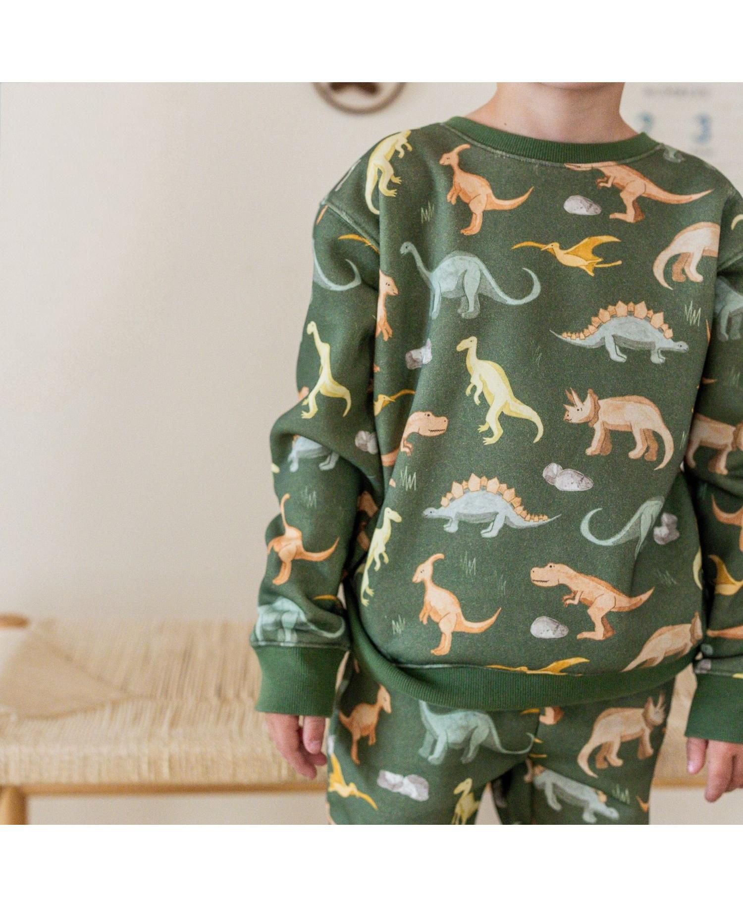 Baby Boys Dinosaurs Rock Sweatshirt and Jogger Set
