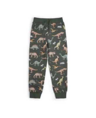 Toddler Boys Dinosaurs Rock Jogger