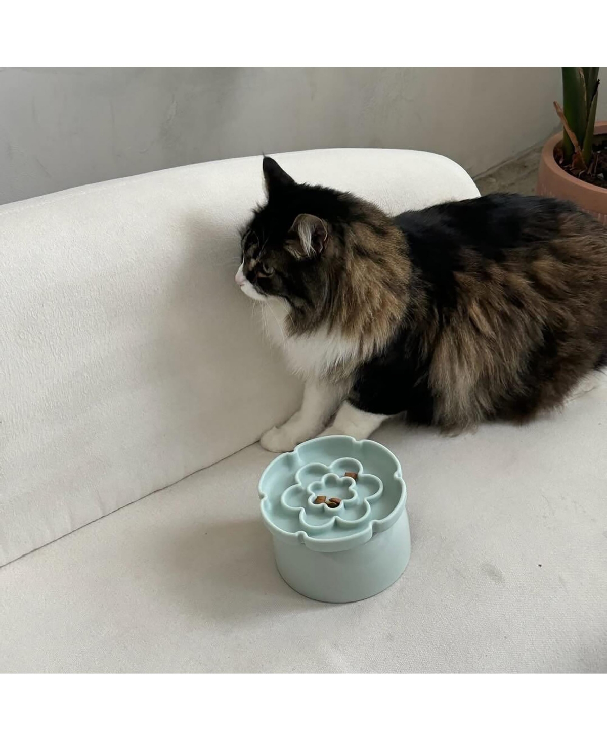 Dexypaws Elevated Slow Feeder: Flower
