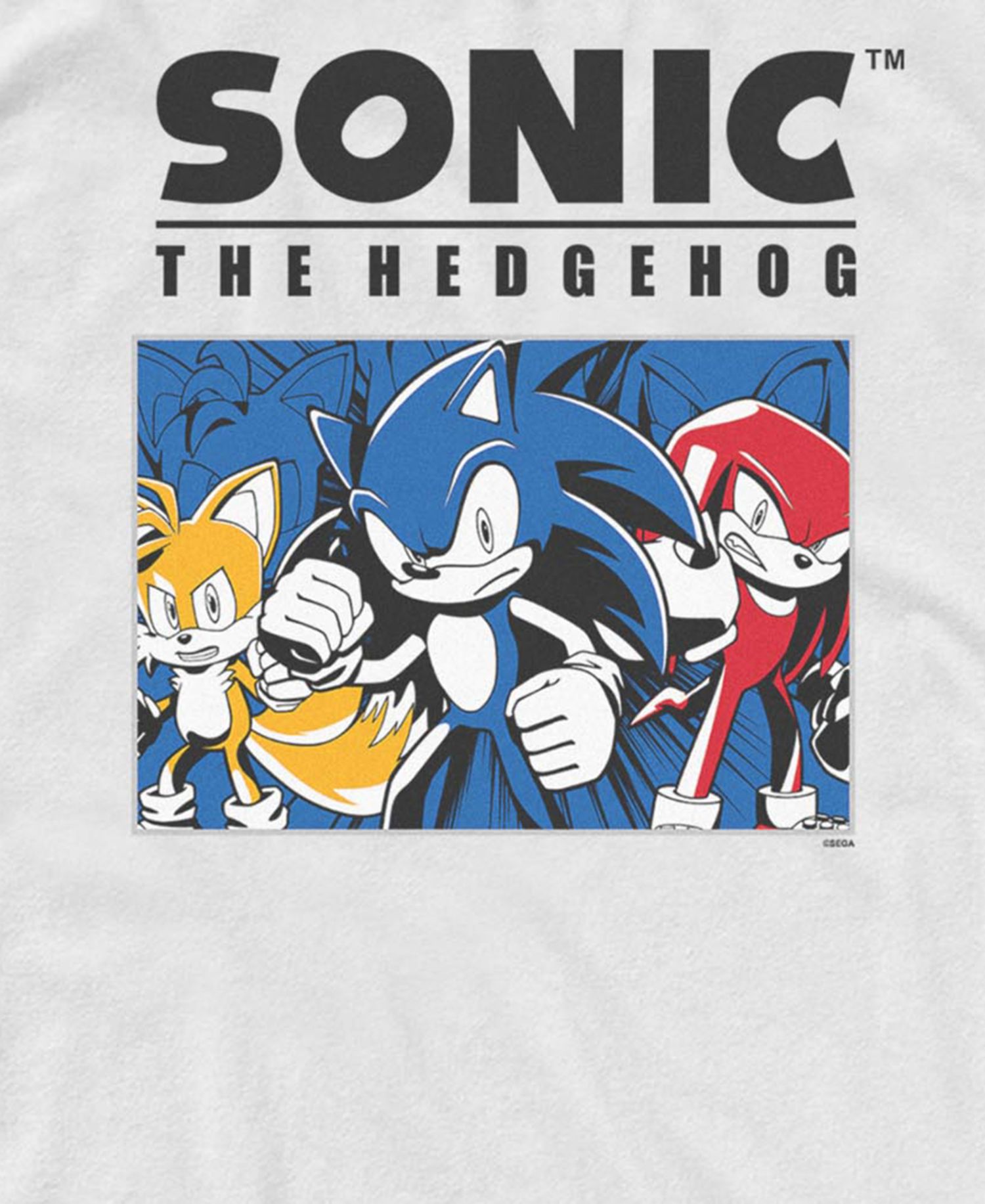 Men's Sonic the Hedgehog Team Sonic Character Graphic Tank Top