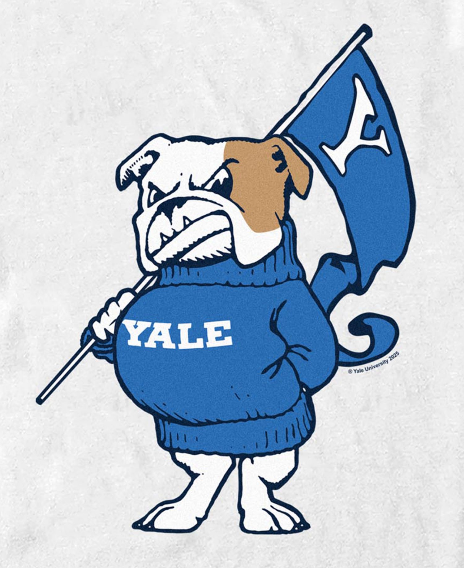 Men's Bulldogs Yale Flag Graphic T-Shirt
