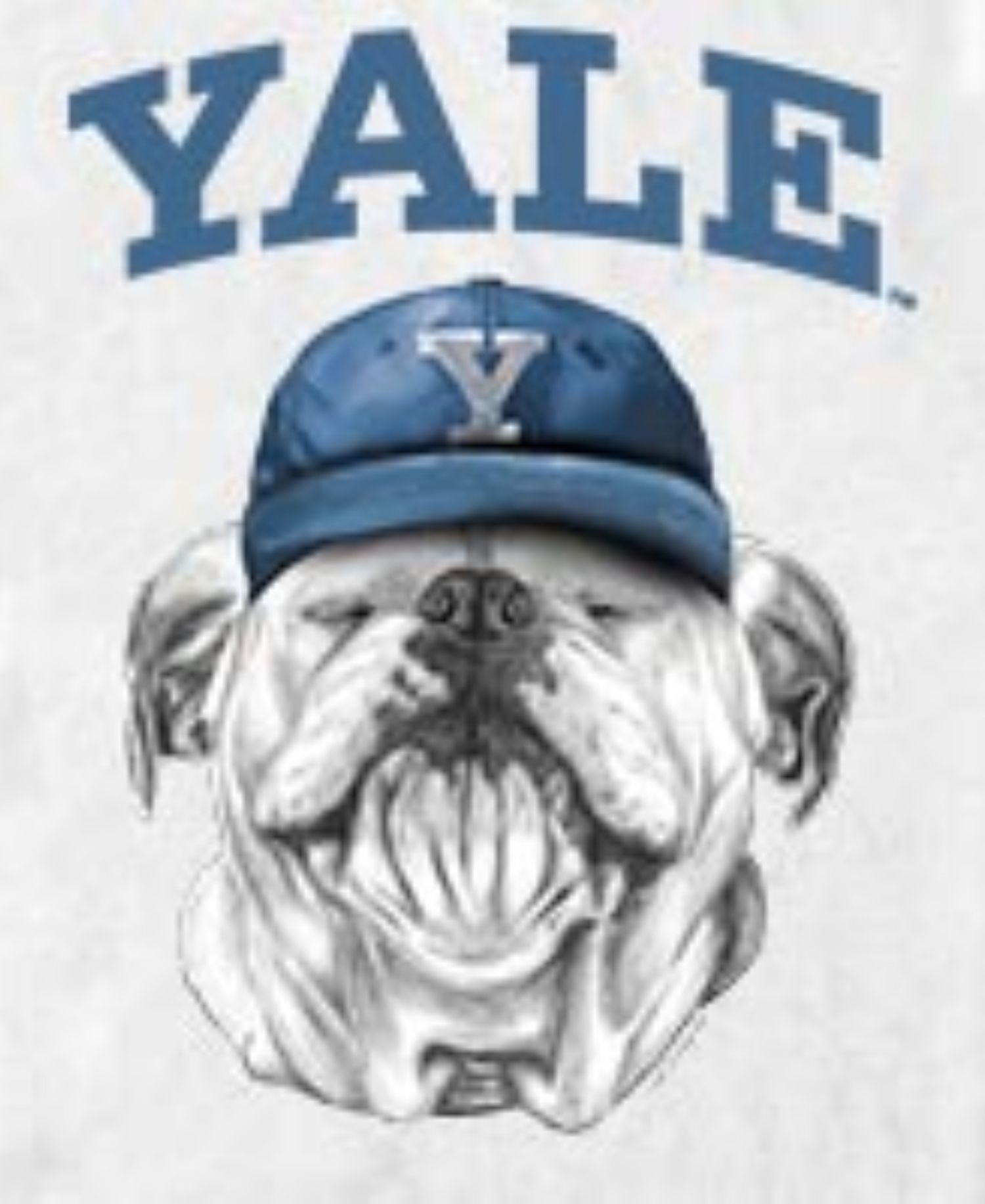 Men's Yale Bulldogs Mascot Baseball Cap Graphic T-Shirt