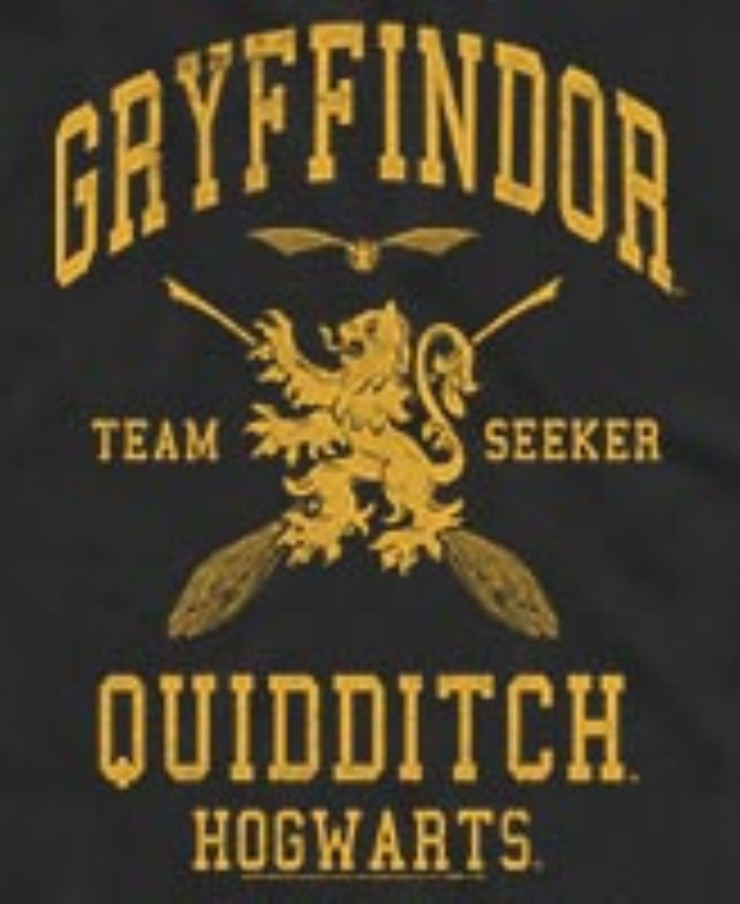Мужской топ Fifth Sun Gryffindor Quidditch Seeker Hogwarts Graphic, цвет: Чёрный — фото 3