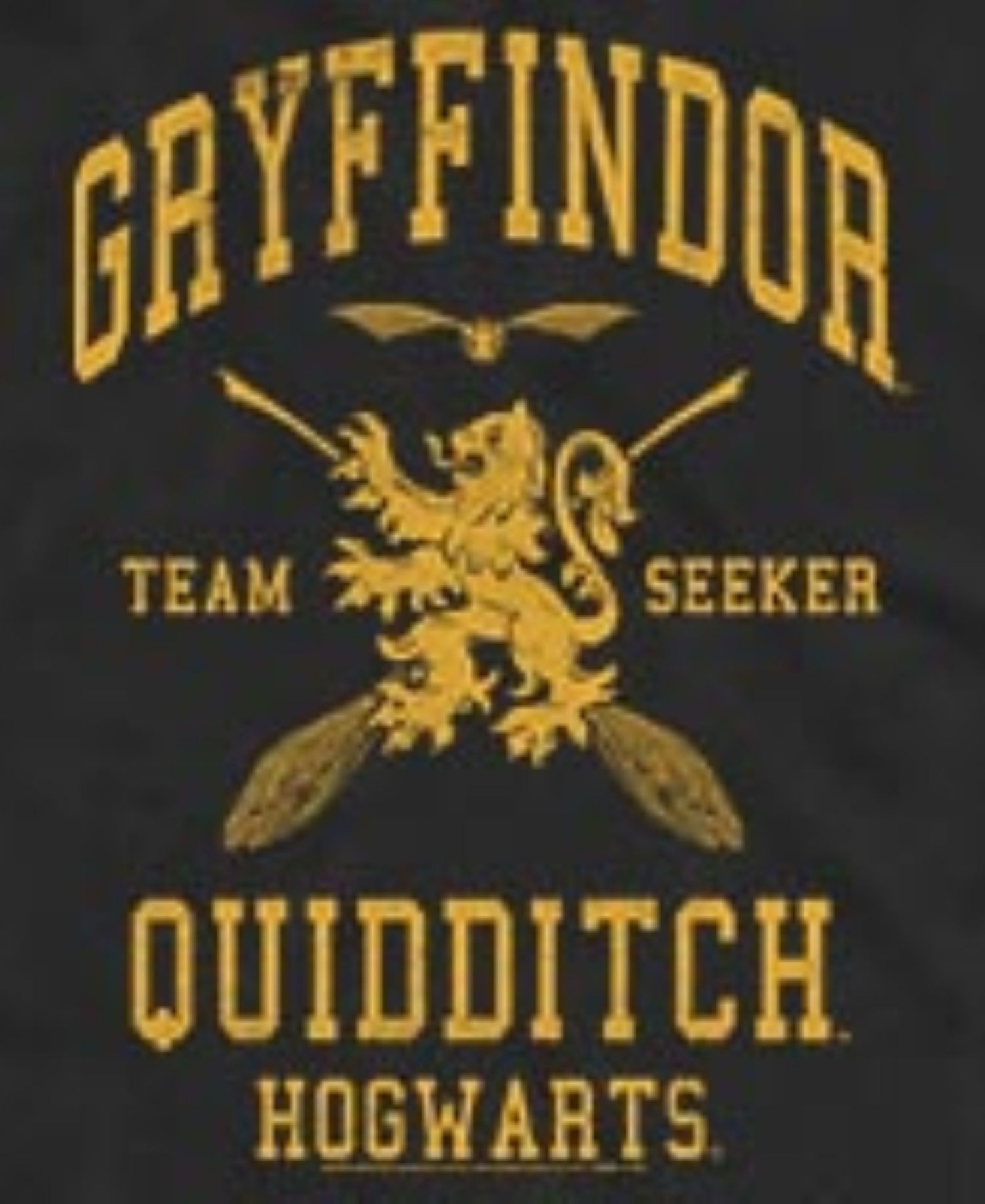 Men's Gryffindor Quidditch Seeker Hogwarts Graphic Tank Top