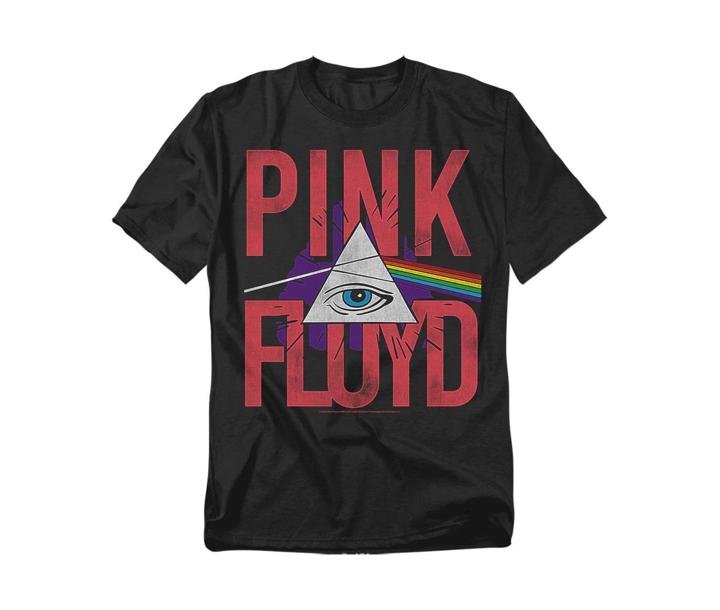 Мужская футболка Pink Floyd Allseeing Prism, цвет: Чёрный — фото 1