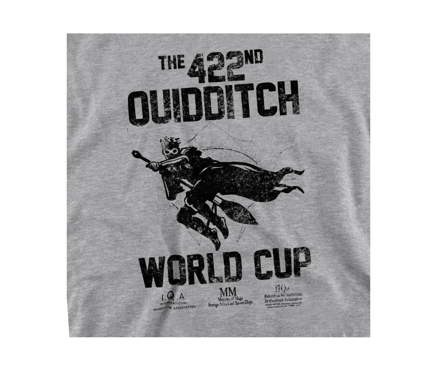 Мужская толстовка Harry Potter Big & Tall Quidditch World Cup Graphic-Crewneck, цвет: Меланжевый — фото 2