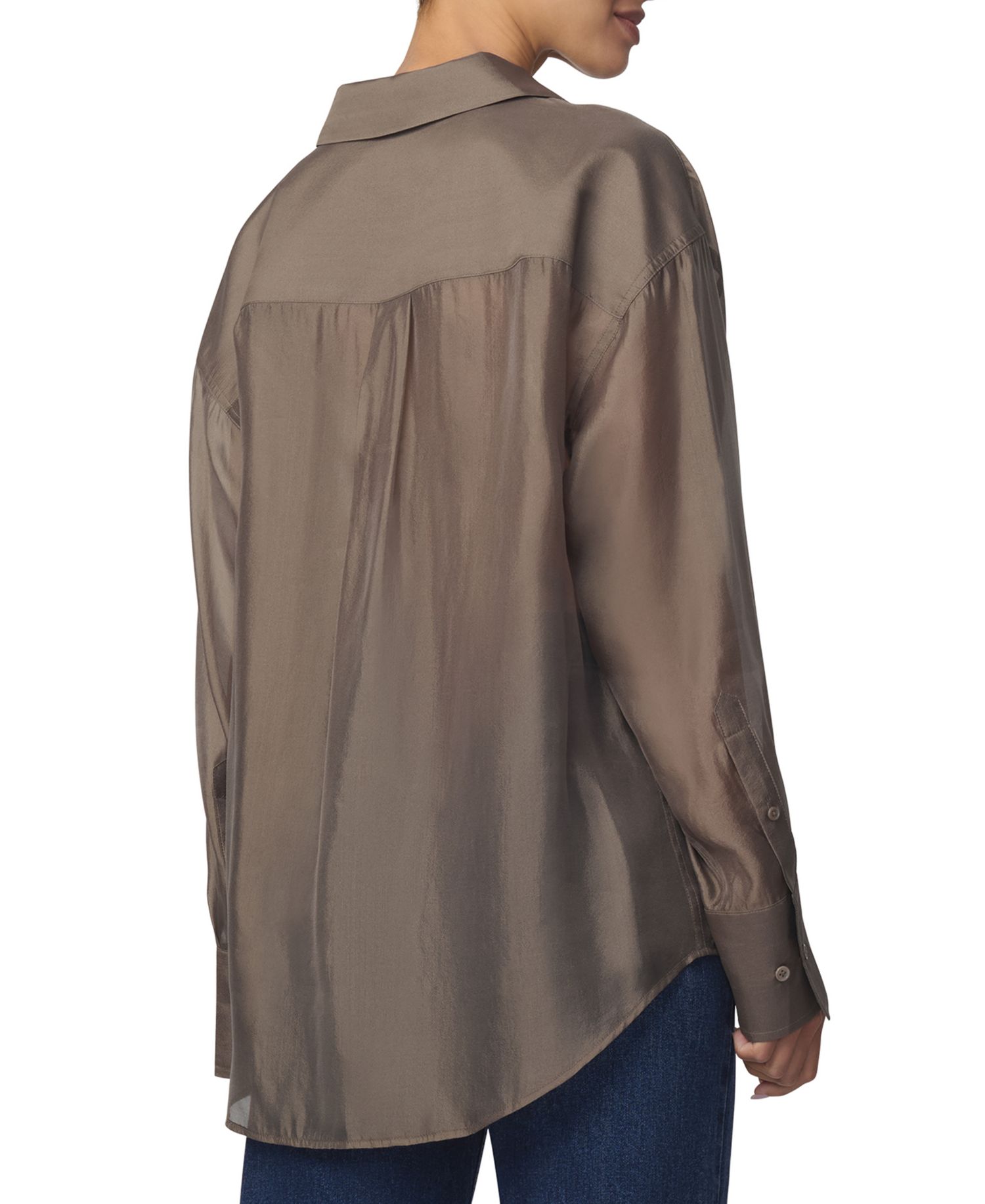 Women's Organza Boyfriend Sheer Long-Sleeve Button-Up Shirt