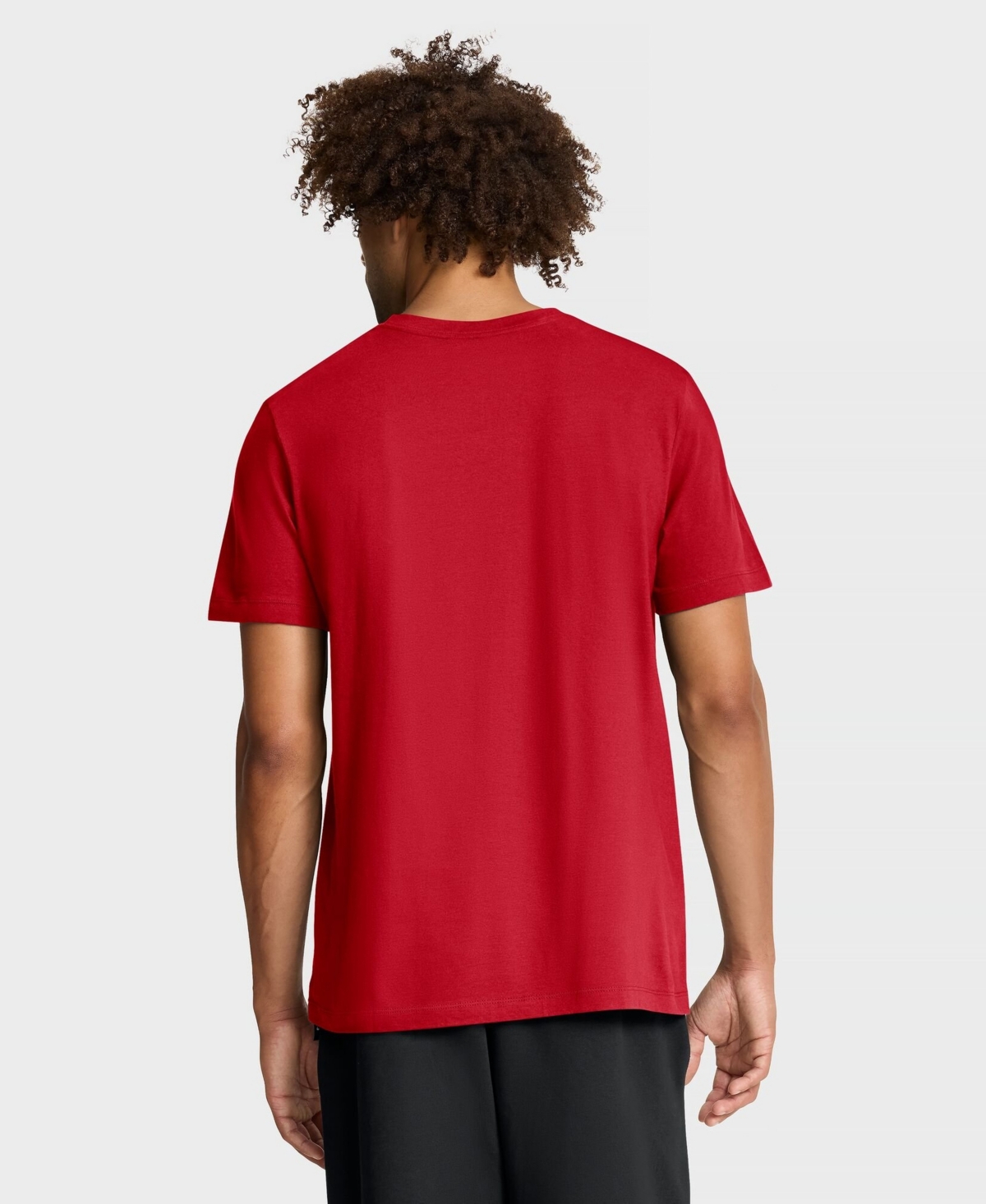 Nike Men's Philadelphia Phillies Icon Standard-Fit T-Shirt