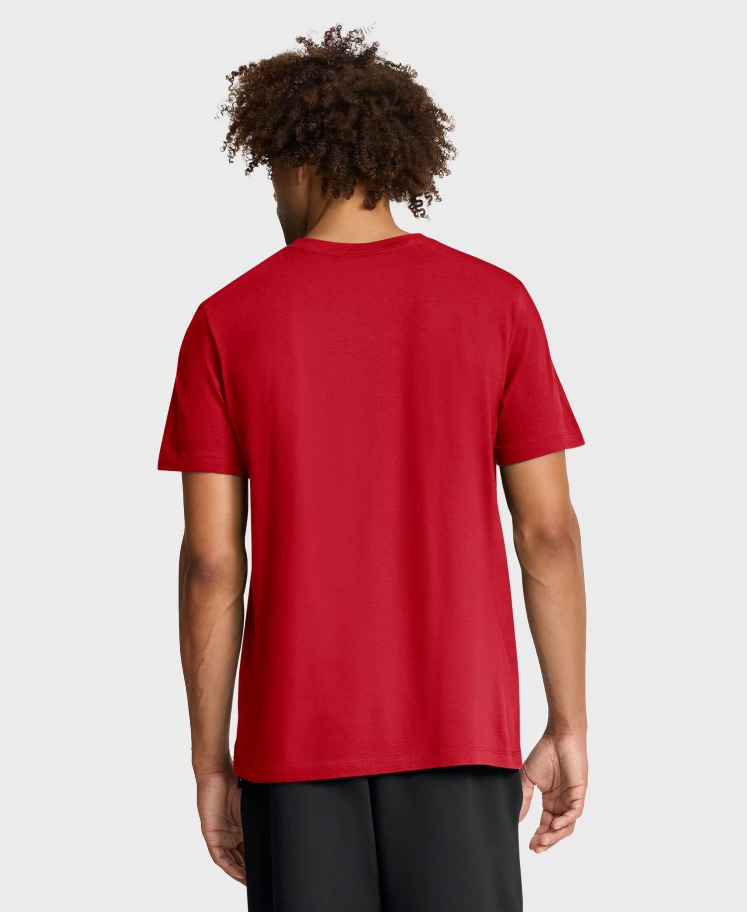Men's Philadelphia Phillies Icon Graphic Crew Neck T-Shirt