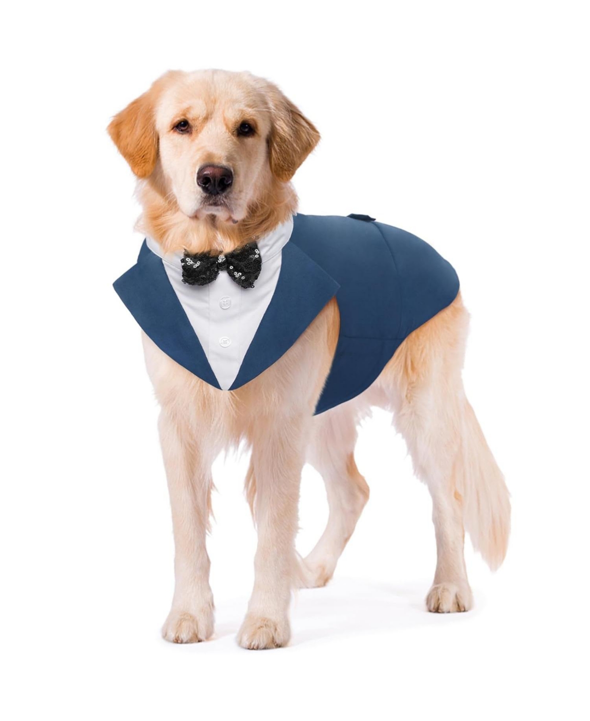 Formal Tuxedo and Bandana Two-Piece Set with Detachable Bowtie Collar for Dogs