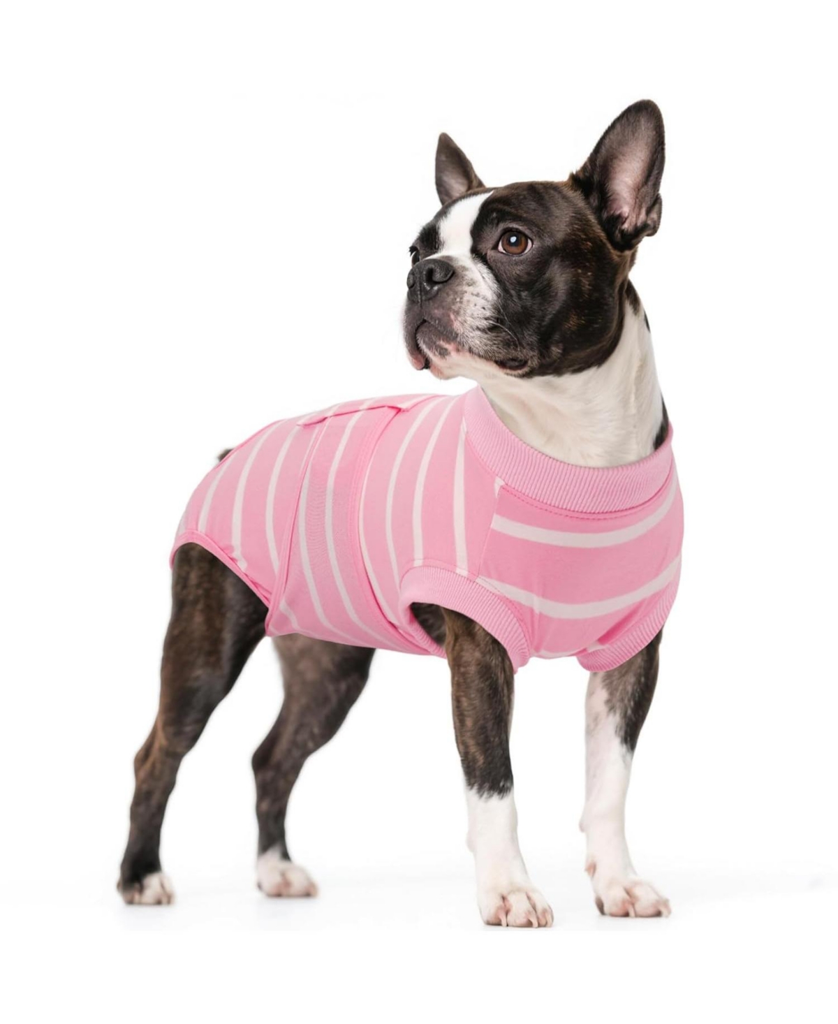 Soft Breathable Post-Surgery Recovery Onesie Suit for Dogs