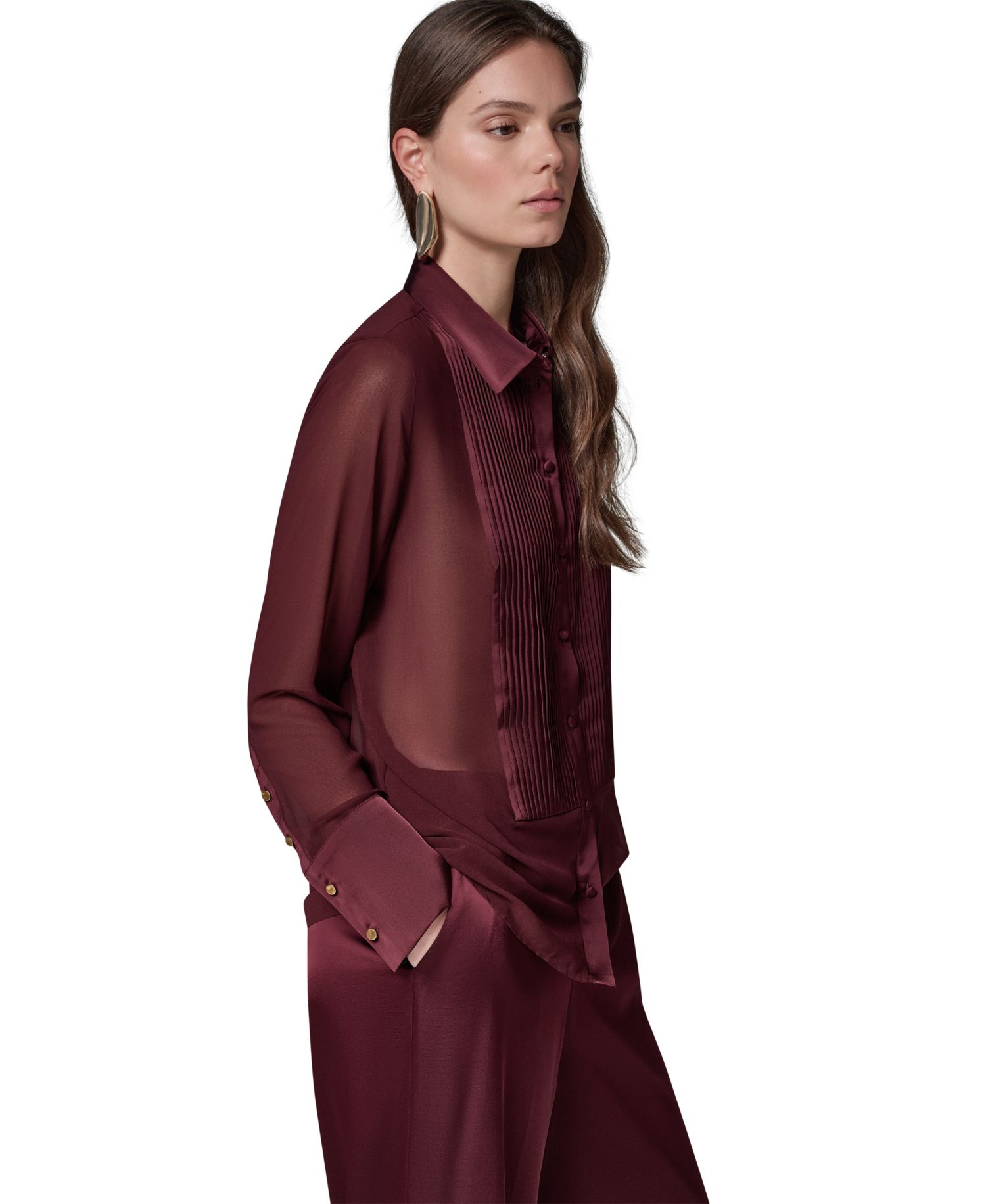Women's Long-Sleeve Sheer Blouse