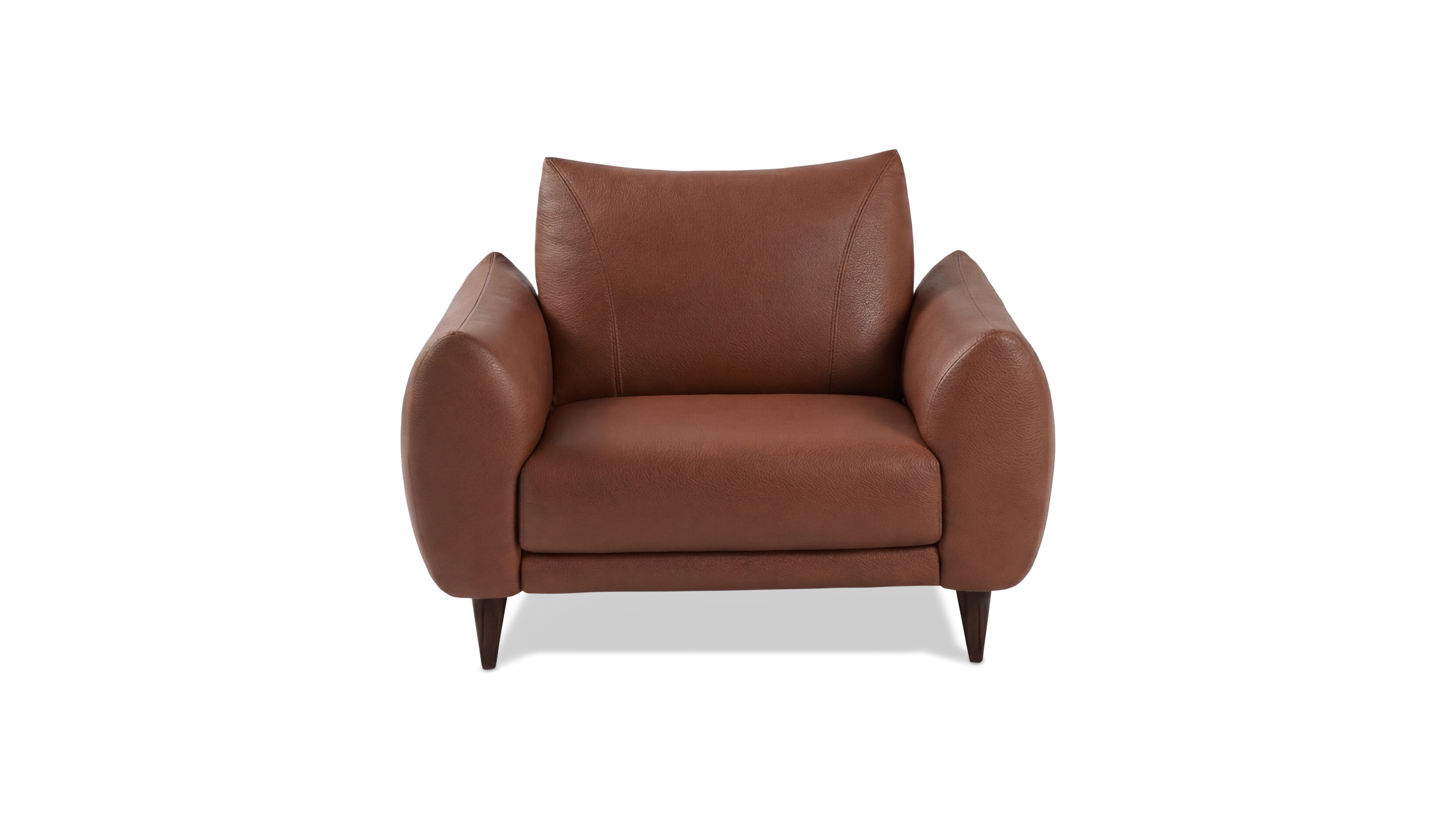 Nicoletti Home Alpino Leather Chair, Macy's Exclusive