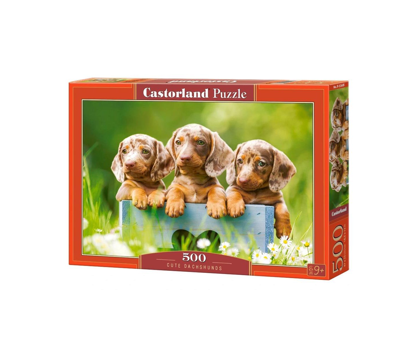 Детский пазл Castorland Cute Dachshunds 500 Piece Jigsaw Puzzle, Ages 14+ — фото 1