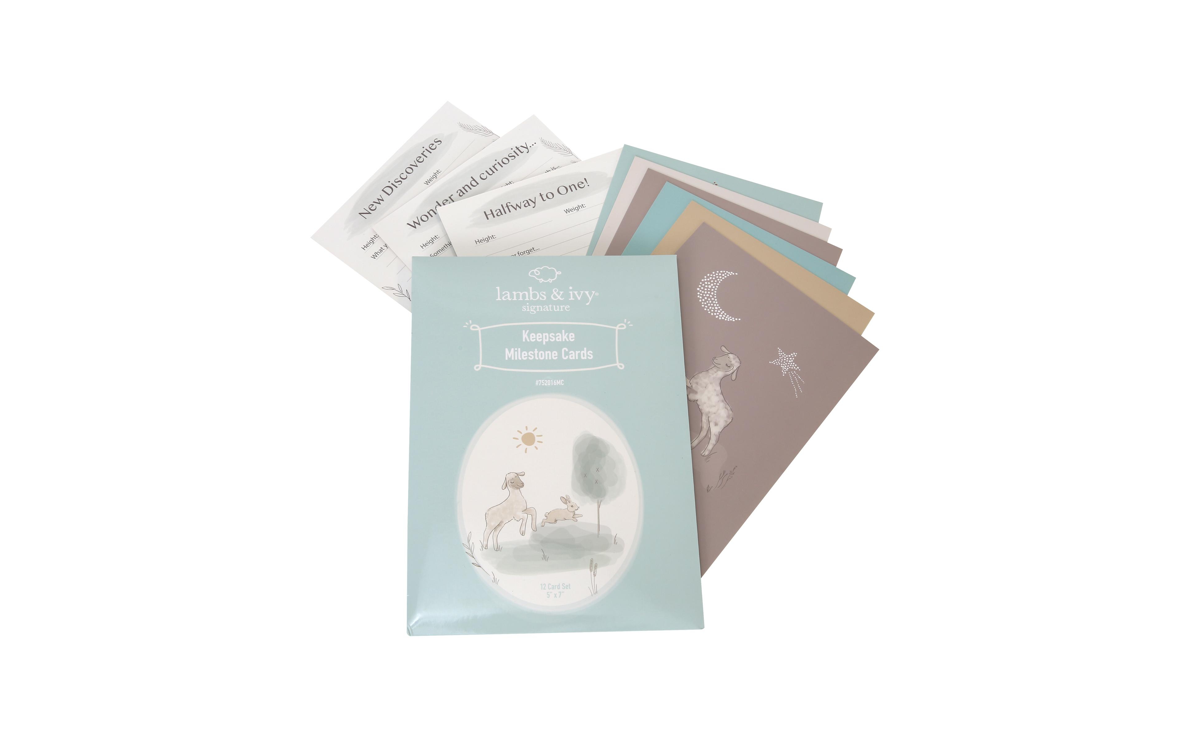 Lambs & Ivy Signature Milestone Keepsake Photo Cards, 12-Piece Set