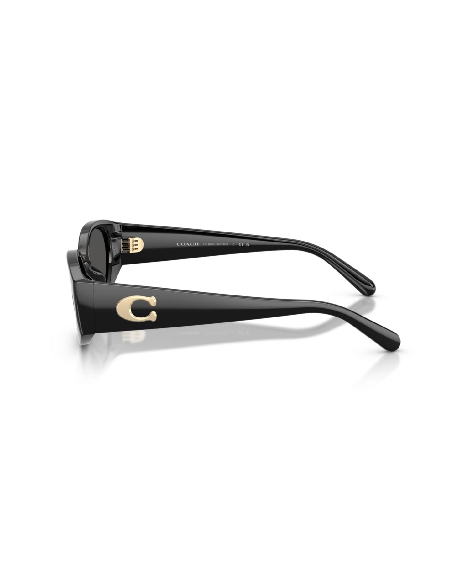 Women's Sunglasses HC8462U