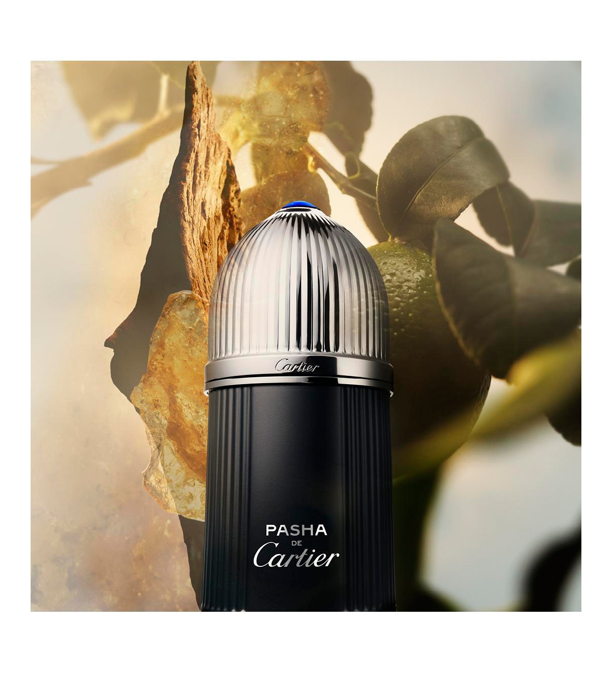 Cartier Men's Pasha Edition Noire Eau de Toilette Spray, 3.3 oz.