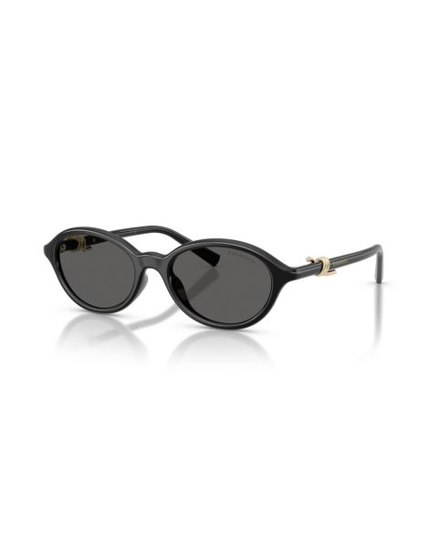 Женские солнцезащитные очки Tiffany & Co. Oval Sunglasses TF4266U, цвет: Чёрный