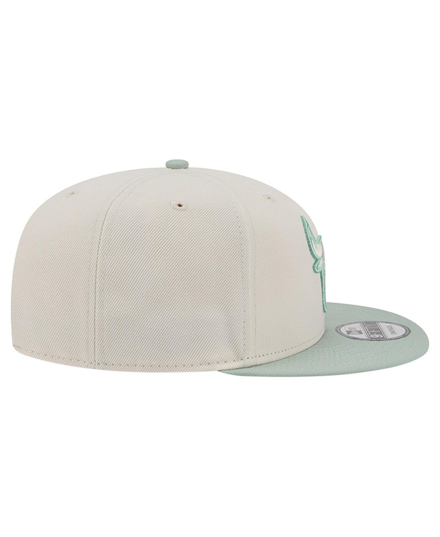 Men's Cream/Light Green Chicago Bulls Color Pack 9FIFTY Snapback Hat