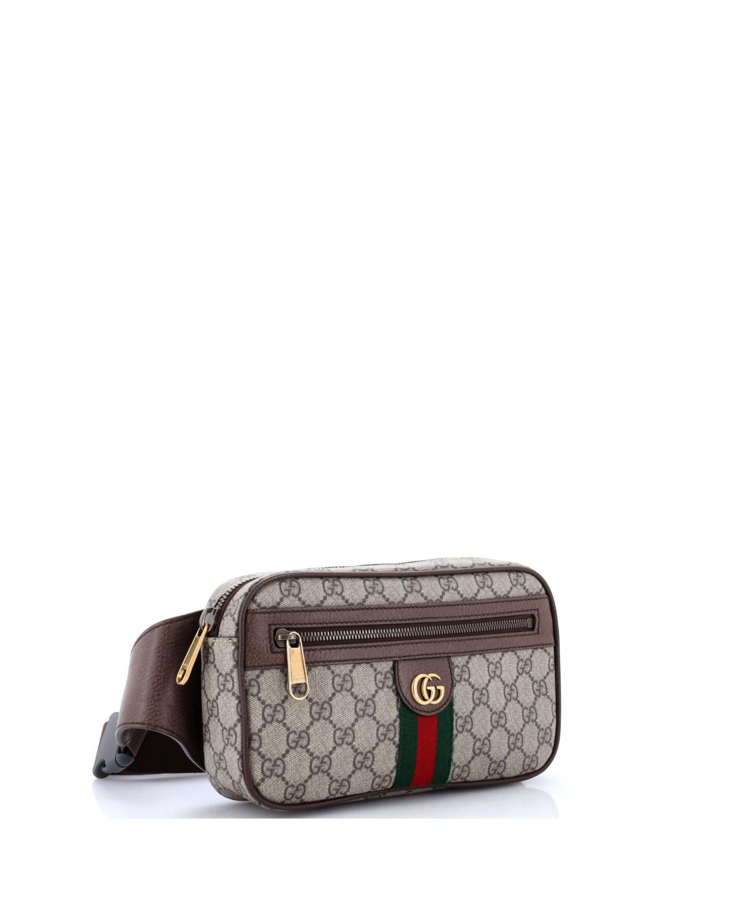Ophidia Belt Bag