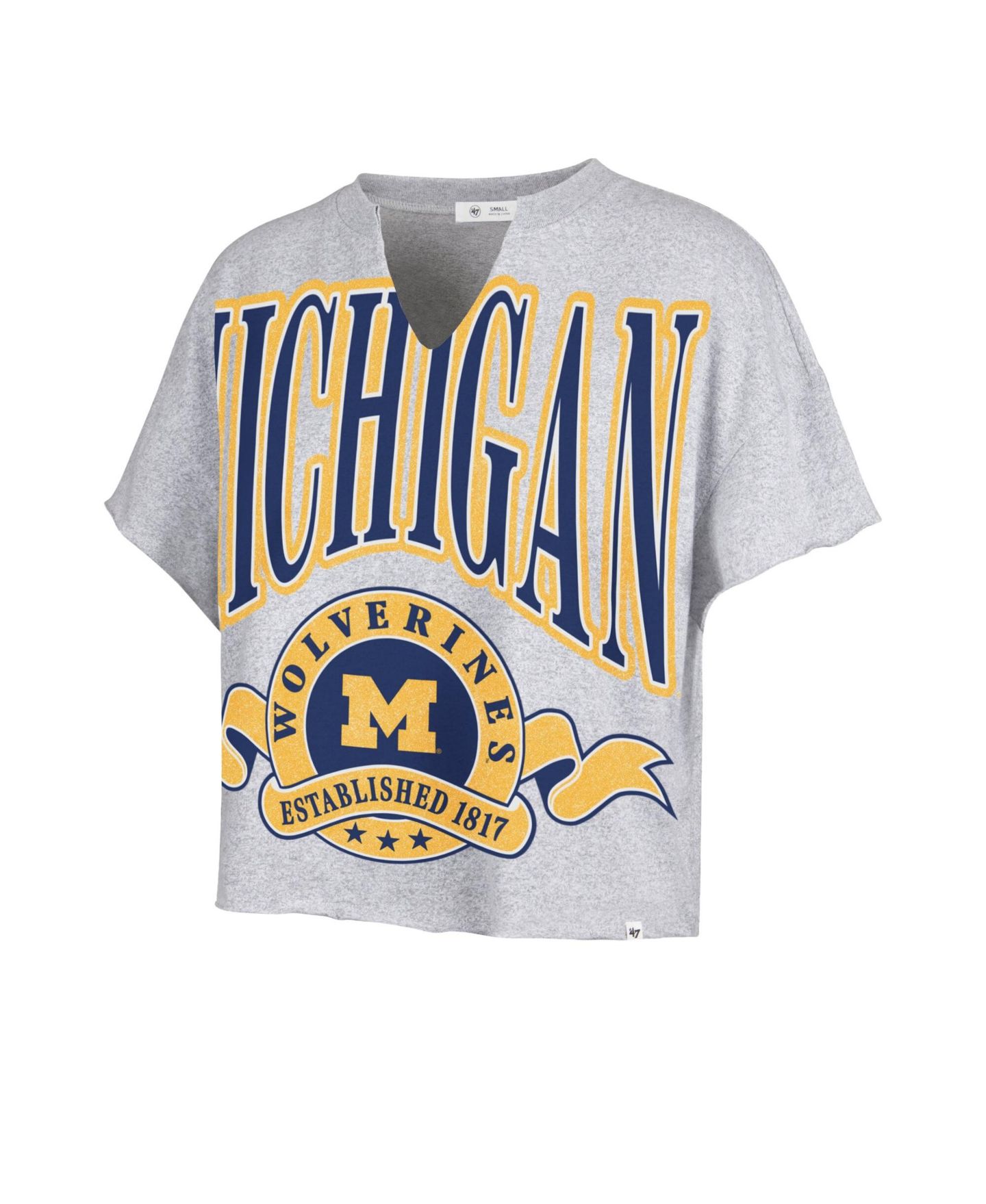 Женская футболка '47 Brand Gray Michigan Wolverines Banners Out Oversized Notch-Neck — фото 2