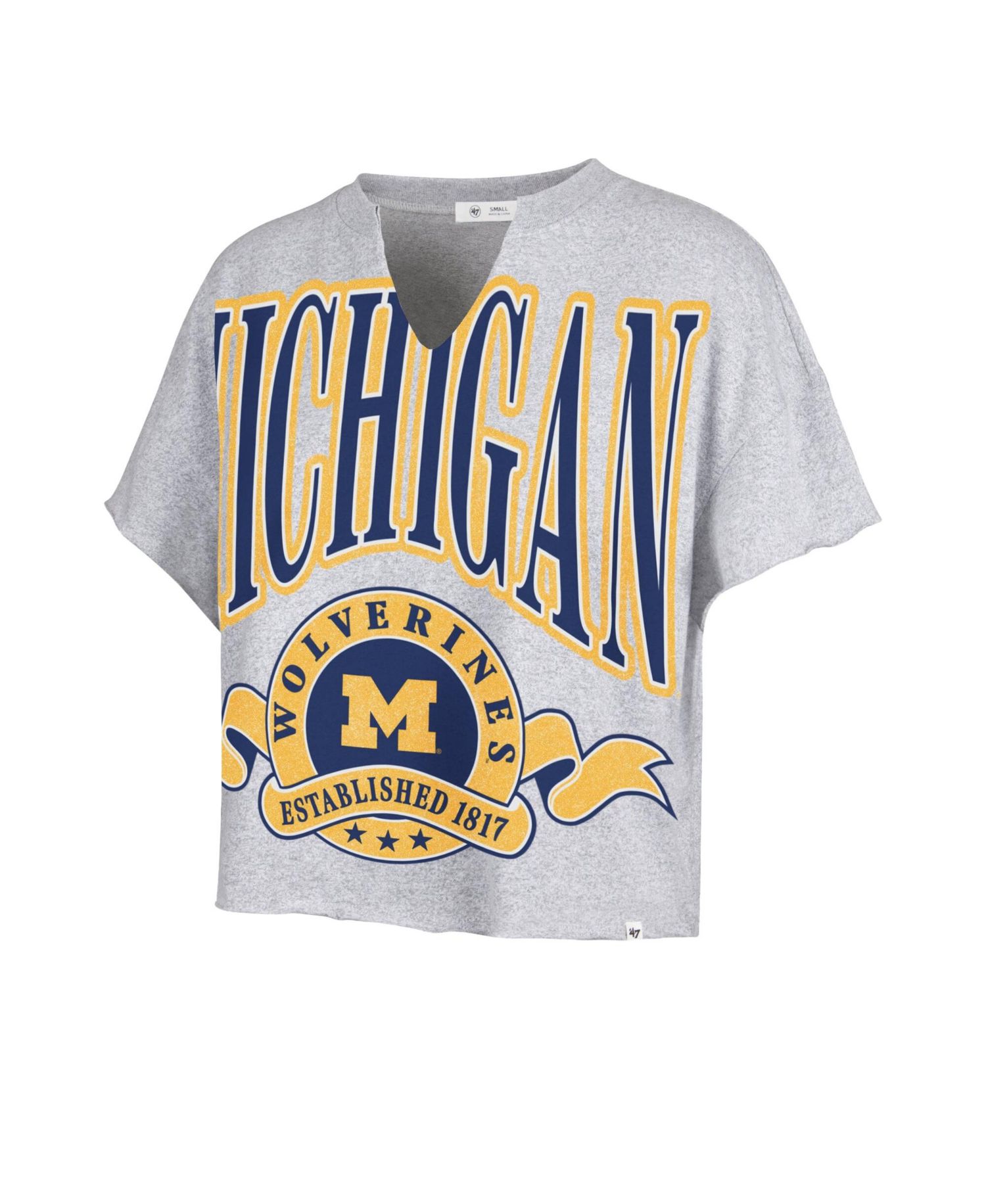 Women's Gray Michigan Wolverines Banners Out Oversized Notch-Neck T-Shirt