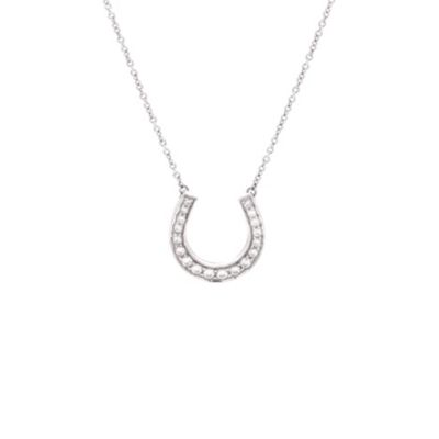Horseshoe Necklace