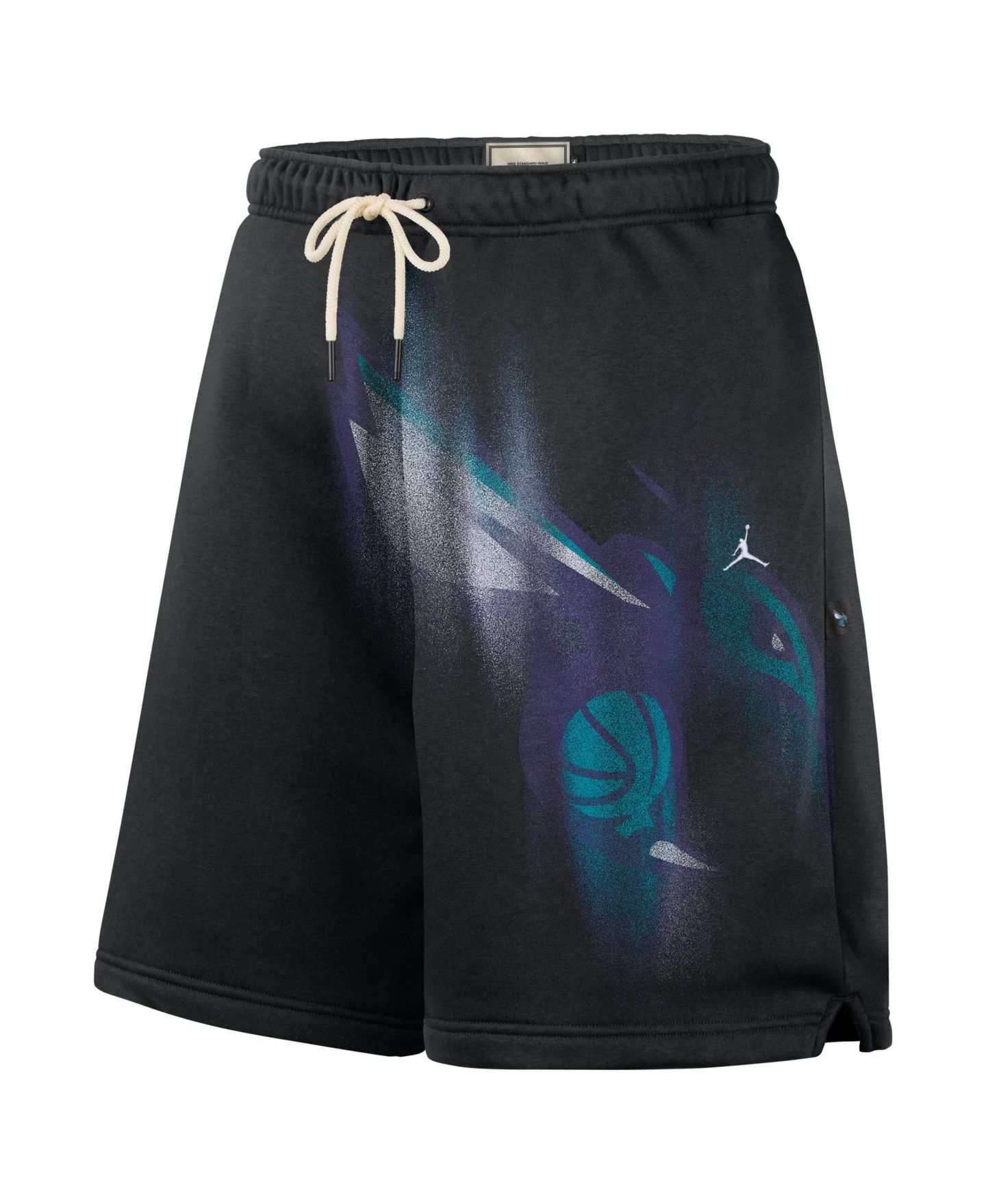 Мужские флисовые шорты Jordan Charlotte Hornets 2026 Standard Issue Practice Icon, Black — фото 3