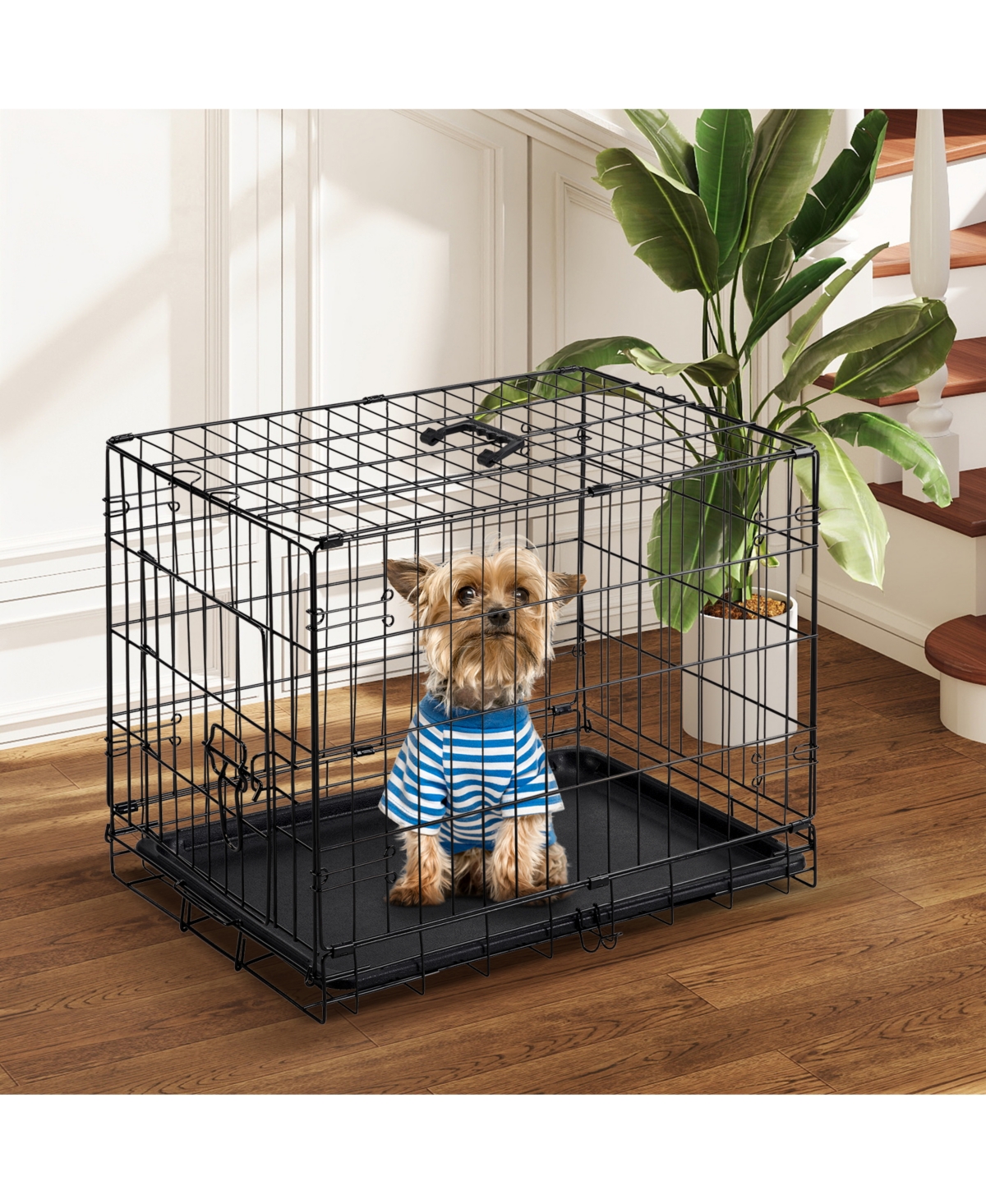Zeny Single Door Foldable Metal Dog Crate with Removable Tray, Portable Wire Kennel for Small and Medium Dogs