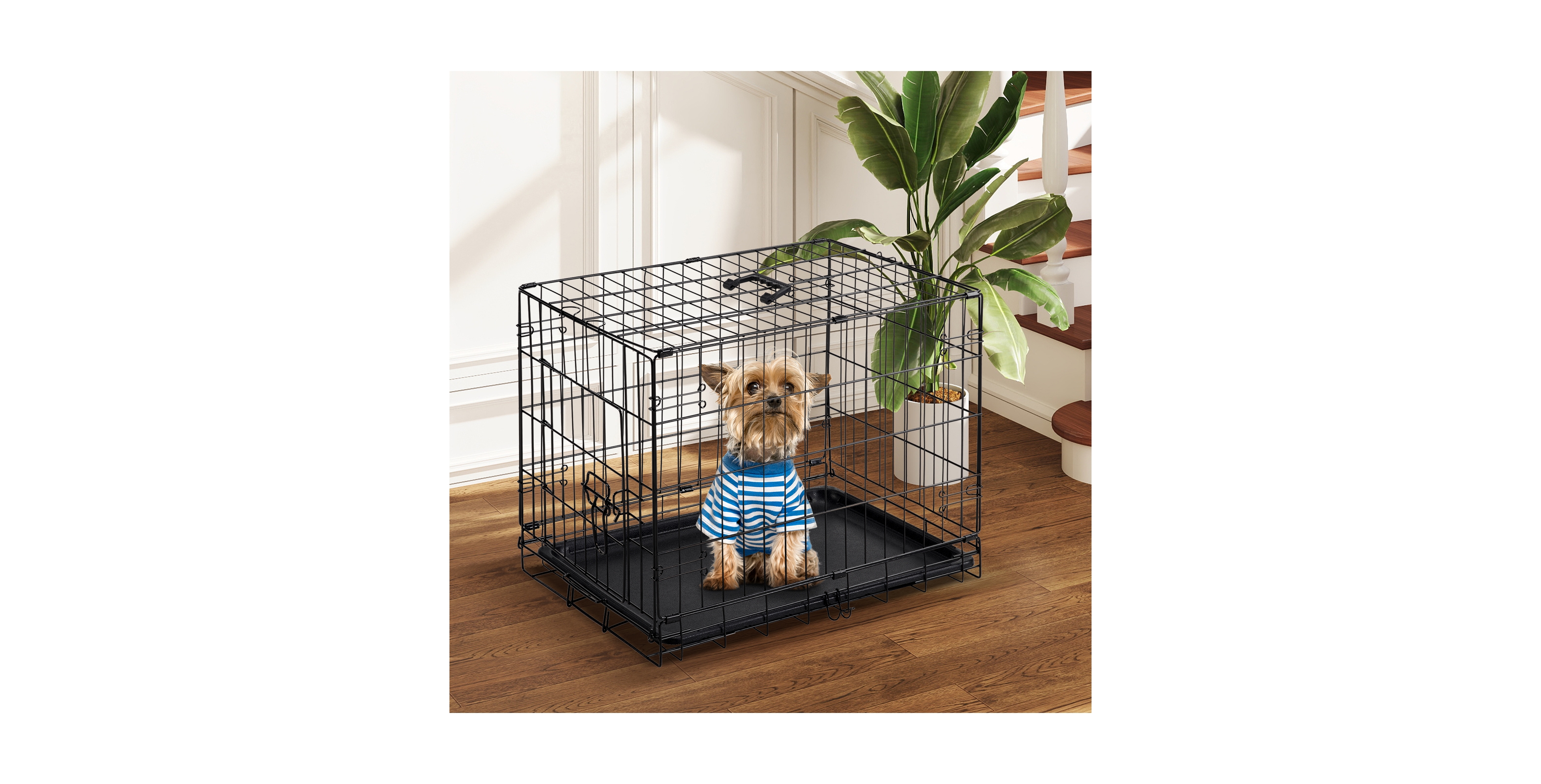 Zeny Single Door Foldable Metal Dog Crate with Removable Tray, Portable Wire Kennel for Small and Medium Dogs